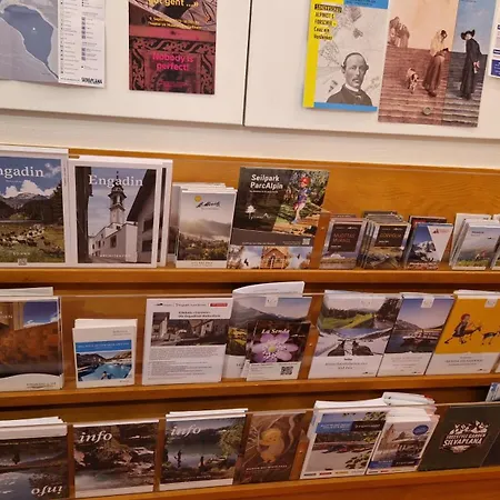 公寓 Chesa Bellaval, Haus Leivra 2 1 2-zimmerwohnung 席尔瓦普拉纳